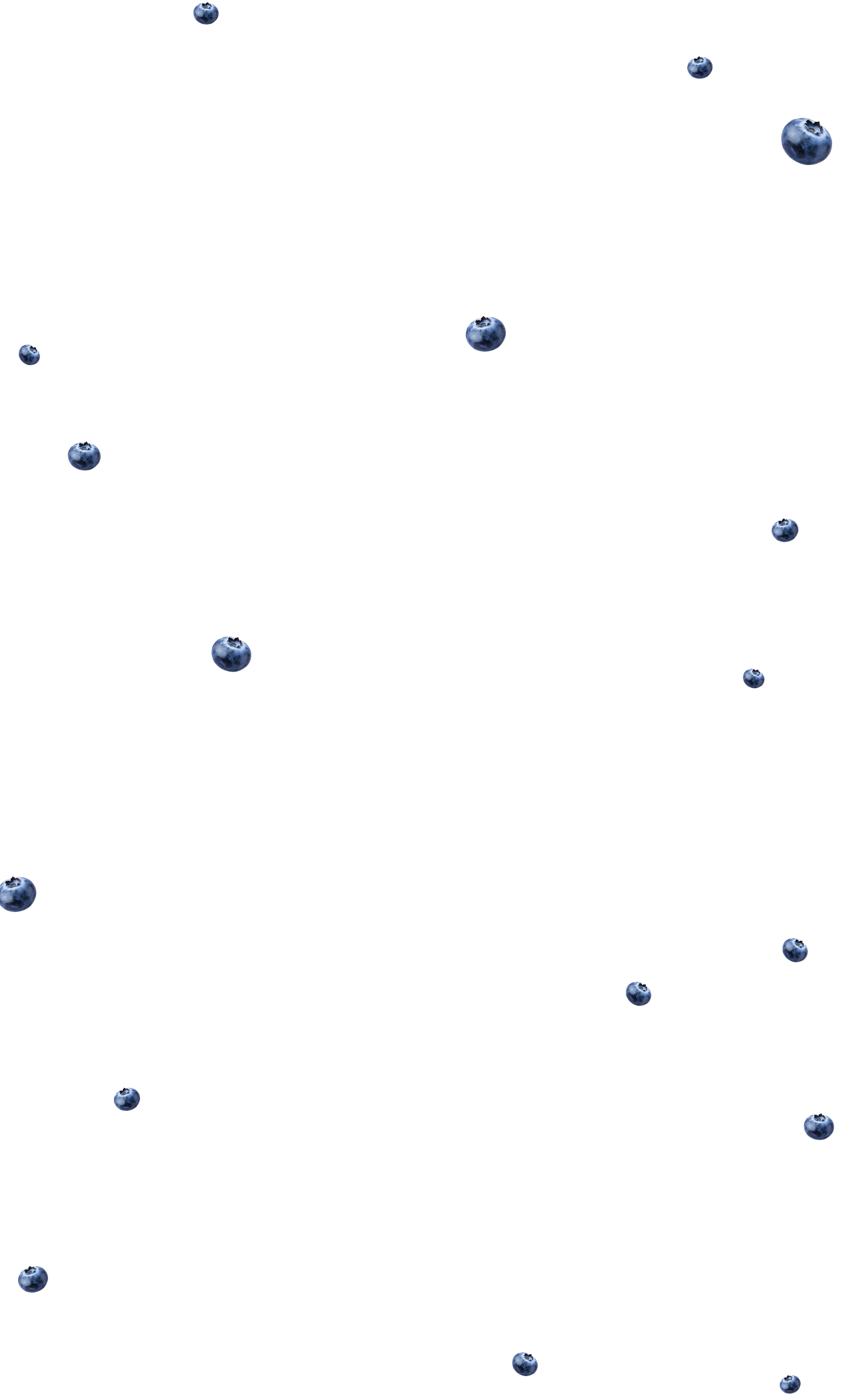 blueberries